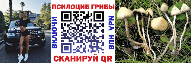 Псилоцибиновые грибы Magic Shrooms  Сланцы 