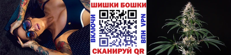 купить наркоту  Сланцы  Марихуана индика 